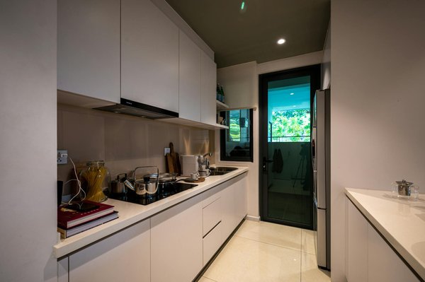 Ultimate organic remedies to combat rose black spot in humid uk weather